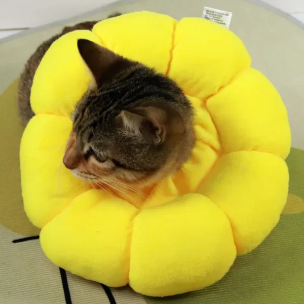 Sunflower Pet Elizabethan Collar Adjustable Anti-Bite Surgery Anti-Lick Wound Healing Cat Protection Collars Soft Plush Collar - Image 5