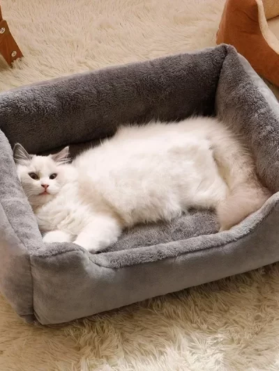 Cats Bed Dog Mat Beds Goods Pet Puppy Accessories All Products Kitten Cushions Things Accessory Houses Habitats House Supplies