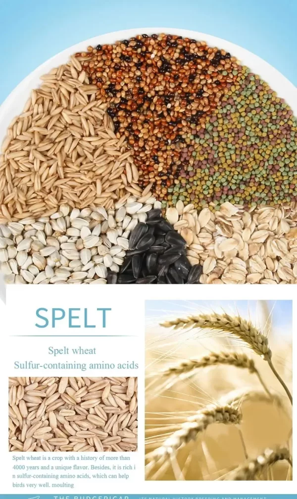Bird food parrot feed oil sunflower bird feed parrot food bird food bird food feed - Image 12