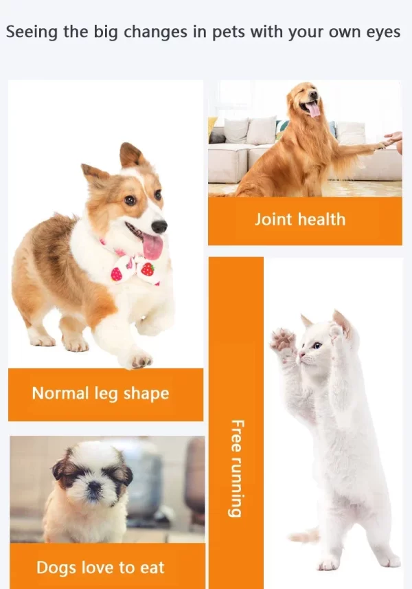 Pet Nutrition Supplement Glucosamine Chondroitin 180 Tablets Puppies Middle-aged and Elderly Dogs and Cat Supplements - Image 6
