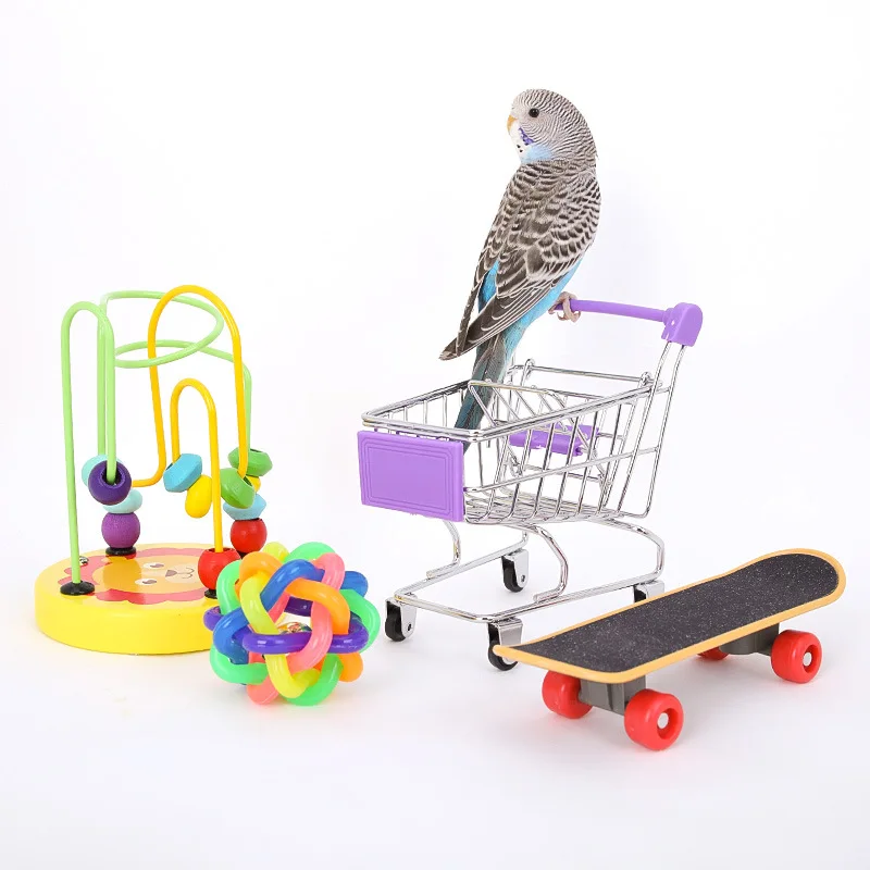 Bird Training Toy Supplies Basketball Stand Lovebird Shopping Cart Bird Toy Shoes Canary Skateboard Parrot Toy Accessories - Image 6