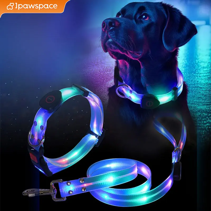 LED Light Up Dog Collar and Leash Walking Safety Glow in The Dark, Three Lighting Modes, USB Rechargeable Dog Colorful LED Leash - Image 7