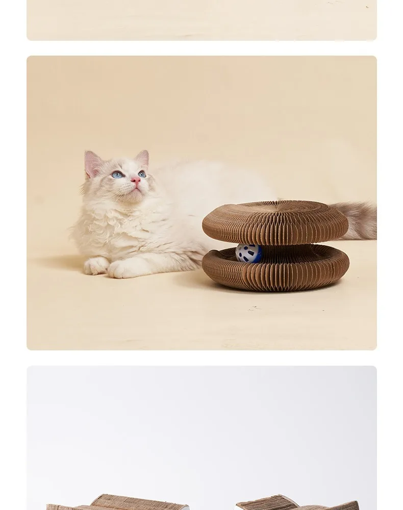Magic Organ Cat Toy Interactive Cats Scratcher Board Round Corrugated Paper Multiple Shapes Kitten Grinding Claw Cat Accessories - Image 11