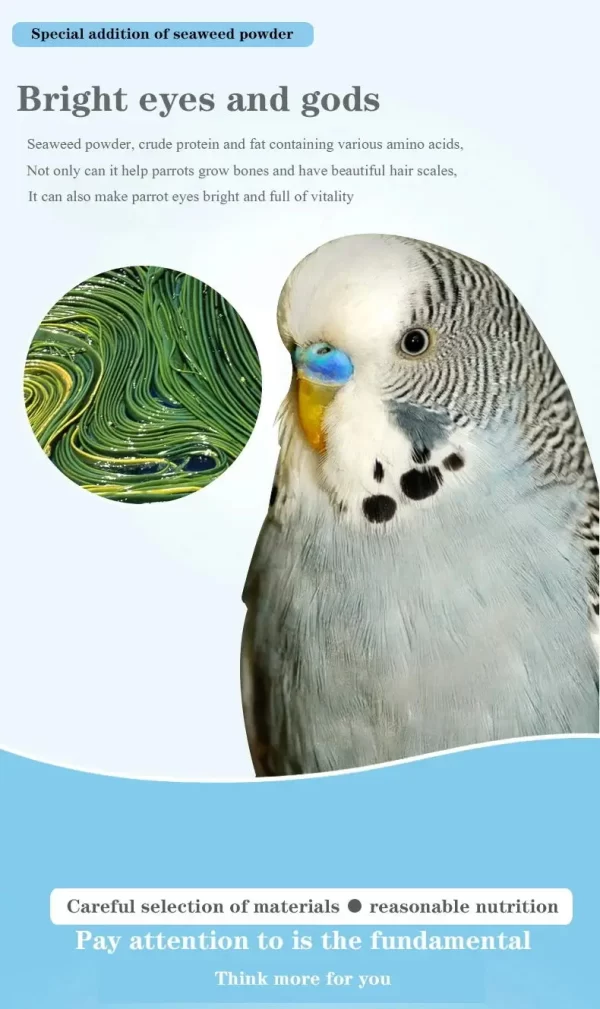 Bird food parrot feed oil sunflower bird feed parrot food bird food bird food feed - Image 11