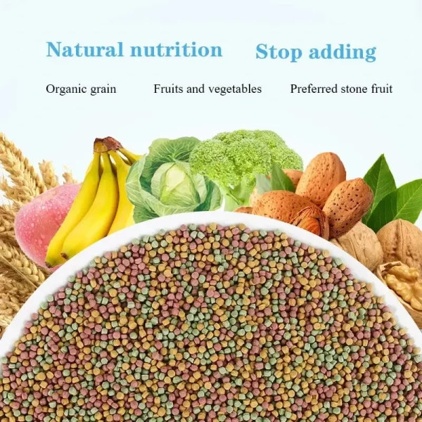 Bird food parrot feed oil sunflower bird feed parrot food bird food bird food feed - Image 2
