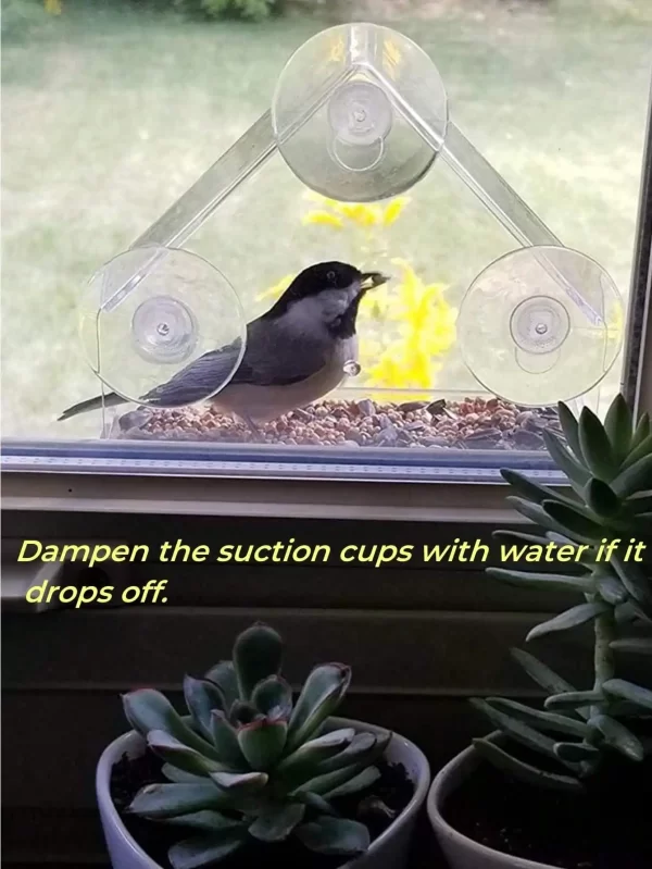 Acrylic Bird Feeder Clear Window Outside Hanging Bird Feeder House with Suction Cup for Garden Outdoor Backyard Wildlife Birding - Image 6