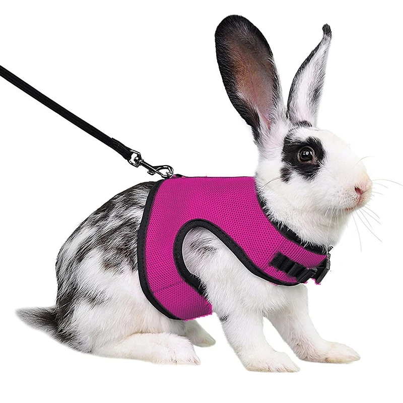 Mutil-Colors Breathable Stylish Vest Small Pet Carrier Bag Adjustable Soft Harness And Elastic Leash Set For Rabbits - Image 10