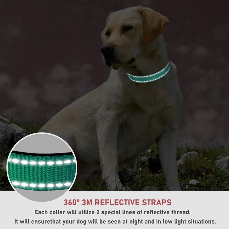 Reflective Dog Collar Strap With Adjustable Safety Nylon Pet Collar Pet Traction Rope Suitable For Small And Medium-Sized Pets - Image 4