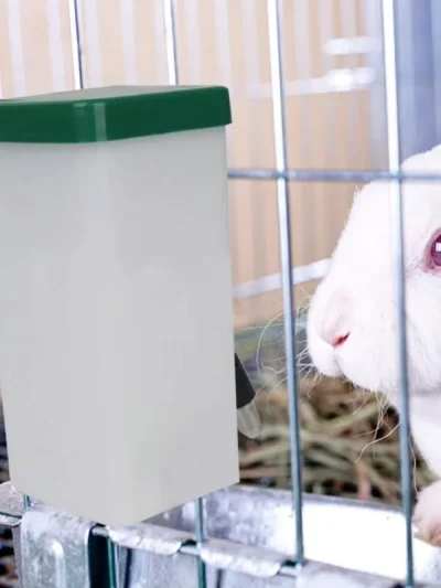 Rabbit Water Dispenser Drinker Feeder Drinking Fountain Automatic Drinking Equipment Pet Drinker Rabbit Animal Accessories