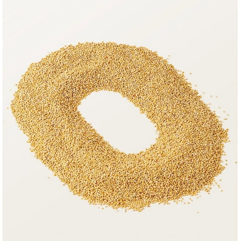 Bird Food Berry Seeds Parrot Food Parrot Yellow Millet Bird Food Xuanfeng Peony Tiger Skin Wenbird Food Tiger Pet Parrot Snack - Image 6