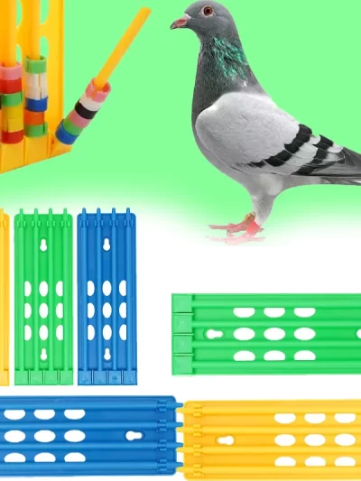 Bird Foot Ring Holder 4-row Large Space Multi-color Hanging Foot Ring Bracket Bird Accessories Wall Mounted Plastic Frame Cheap