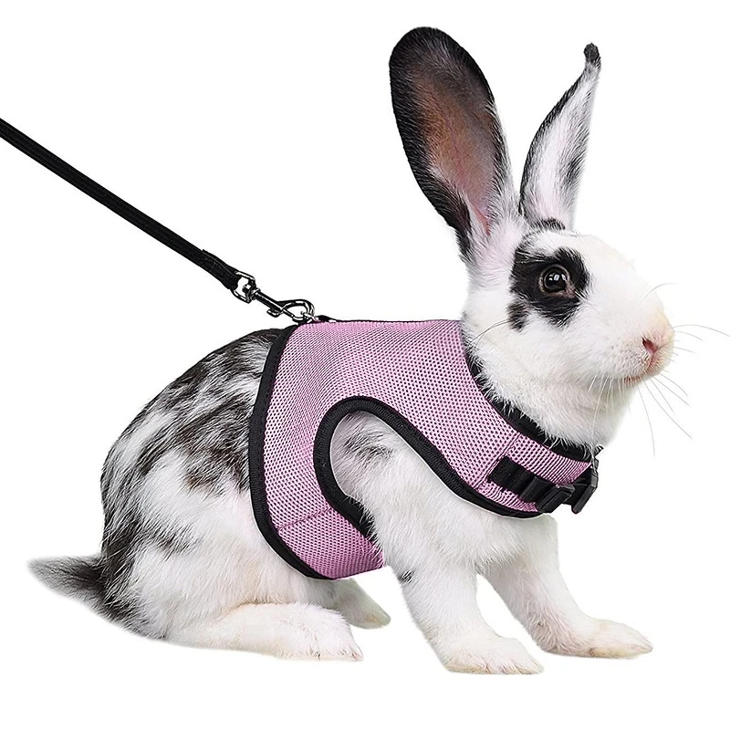 Mutil-Colors Breathable Stylish Vest Small Pet Carrier Bag Adjustable Soft Harness And Elastic Leash Set For Rabbits - Image 7