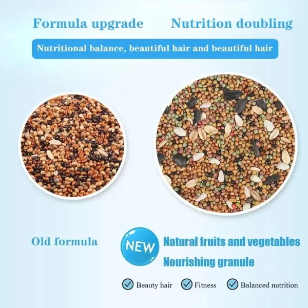 Bird food parrot feed oil sunflower bird feed parrot food bird food bird food feed - Image 3