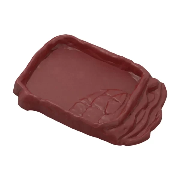 Reptile Ramp Food Bowl Multifunctional Turtle Bath Amphibian Feeding Dish for Tortoise Snakes Snake Hamster Aquarium Ornament - Image 7