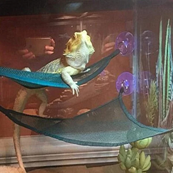 Reptile Hammock Lounger Ladder Accessories Set for Large Small Bearded Dragons Anole Geckos Lizards or Snakes Reptile Accessorie - Image 2
