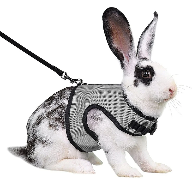 Mutil-Colors Breathable Stylish Vest Small Pet Carrier Bag Adjustable Soft Harness And Elastic Leash Set For Rabbits - Image 11