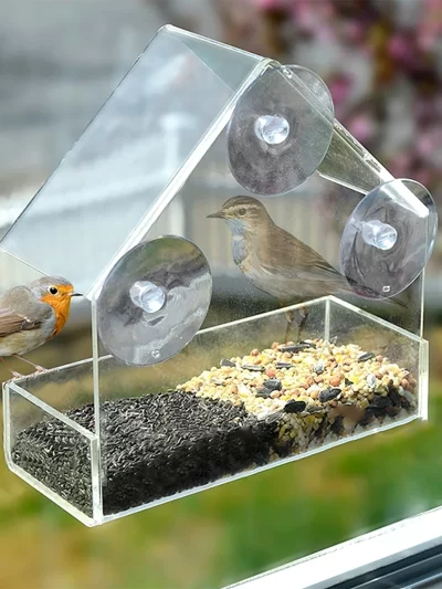 House Transparent Window Wild Bird Feeder Outdoor Removable Suction Cups Sliding Automatic Birds Feed Tray for Garden Patio Yard