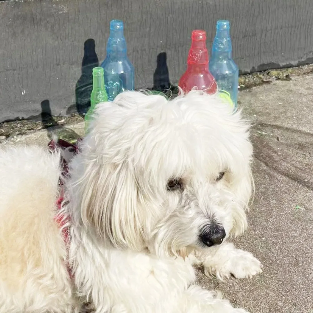 Pet Chew Toy Pet Sound Bite Resistant Molar Floating Rubber TPR Tennis Bottle Pet Bottle Ball Squeaky Toy Accessories - Image 14