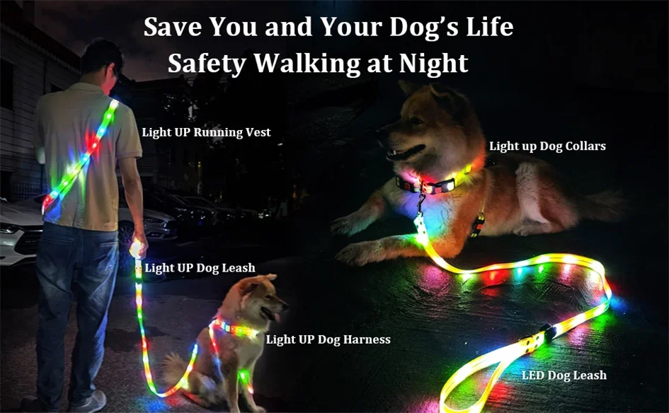 LED Light Up Dog Collar and Leash Walking Safety Glow in The Dark, Three Lighting Modes, USB Rechargeable Dog Colorful LED Leash - Image 17