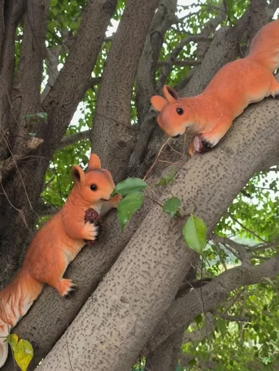 Creative Resin squirrel Garden decoration Home outdoor accessories Simulated animal ornaments fairy garden miniatures