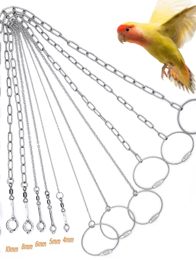 Parrot Leg Ring Ankle Foot Chain Bird Ring Outdoor Flying Training Activity Opening Stand Accessories for Small Bird  Supplies