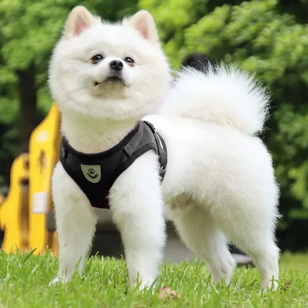 Pet Leash Undershirt Type Harness Breathable Reflective Adjustable Chest Harness Outdoor Dog Carrying Supplies - Image 2