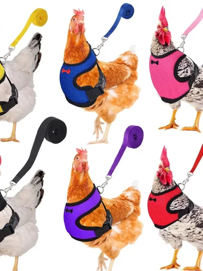 Fashion Chicken Duck Vest Hen Belt Pet Harness Matching Collars Bow Comfortable Leads Breathable Poultry Supplies