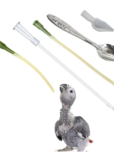 Bird Feeding Dropper Hose Small Pet Feeder Water Needle Tube Liquid Injection Hose Parrot Feeding Syringe Spoon Kits