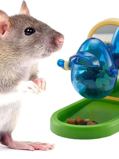 Rat Enrichment Toys Interactive Foraging Toys For Rats Intelligence Growth Rat Enrichment Puzzle Games Treat Dispensing Slow