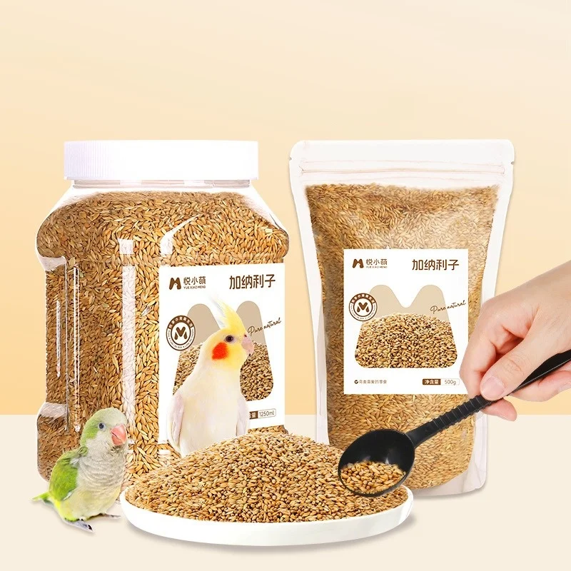 Bird Food Canary Seeds Parrot Food Peony Tiger Skin Xuanfeng Feed Shelled Special Grain General Bird Food Parrot Bird Food Feed - Image 3