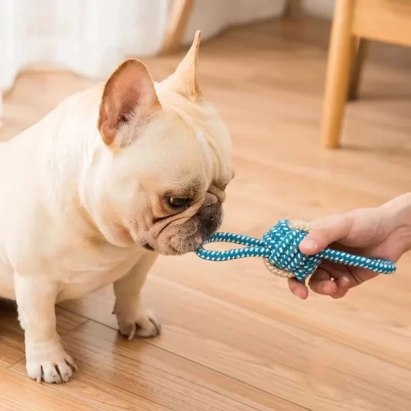 Pet Dog Toys for Large Small Dogs Toy InteractiveCotton Rope Mini Dog Toys Ball for DogsAccessories Toothbrush Chew Puppy Toy - Image 3