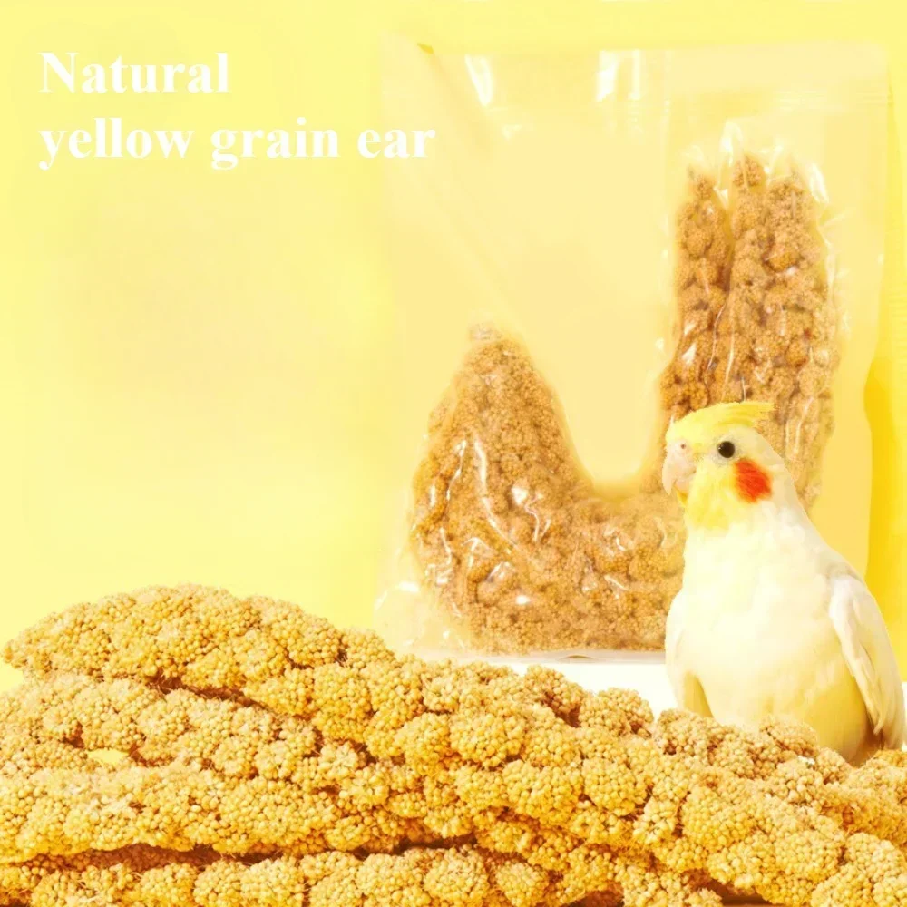 Parakeet snack grain with shell yellow millet Xuanphoenix tiger skin feed bird food bird food Wenbird pearl bird snack