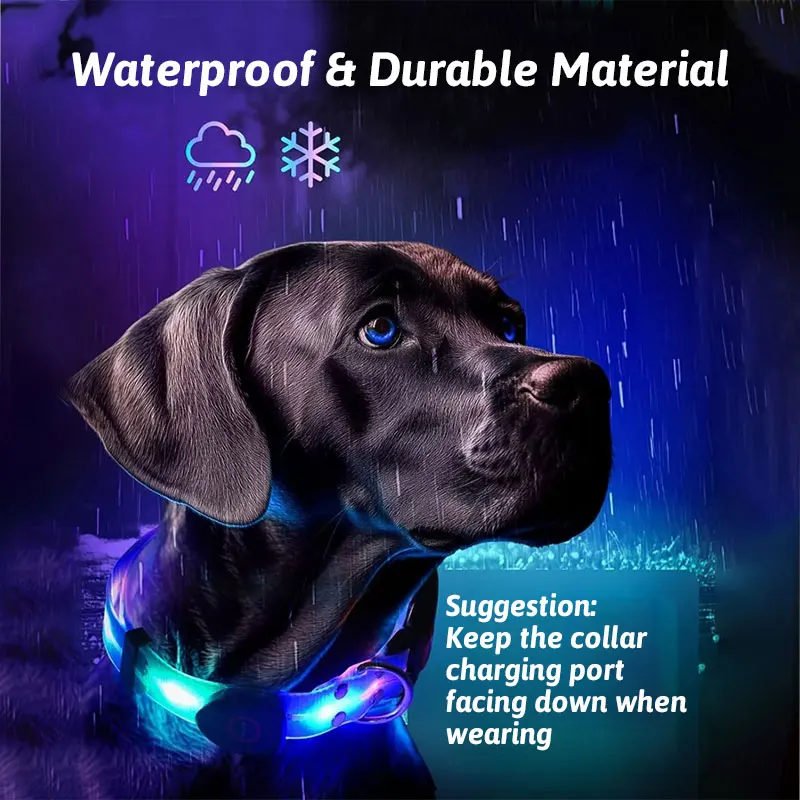 LED Light Up Dog Collar and Leash Walking Safety Glow in The Dark, Three Lighting Modes, USB Rechargeable Dog Colorful LED Leash - Image 15