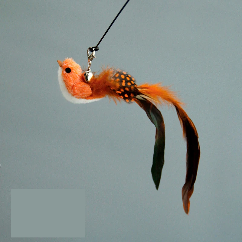 Funny Bird Feather Cat Wand With Bell Accessories Interactive Toys For Cats Kitten Hunting Teaser Exercise Pet Products - Image 8