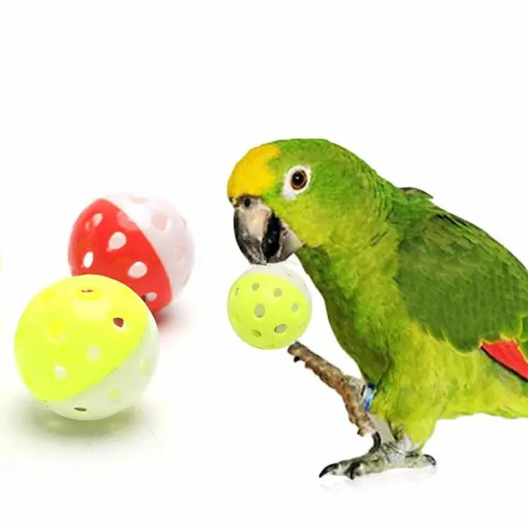 10pcs Parrot Toy Balls Fun Colored Hollow Bell Ball Sound Bird Toy Parakeet Training Interactive Chew Toys Pet Bird Supplies - Image 12