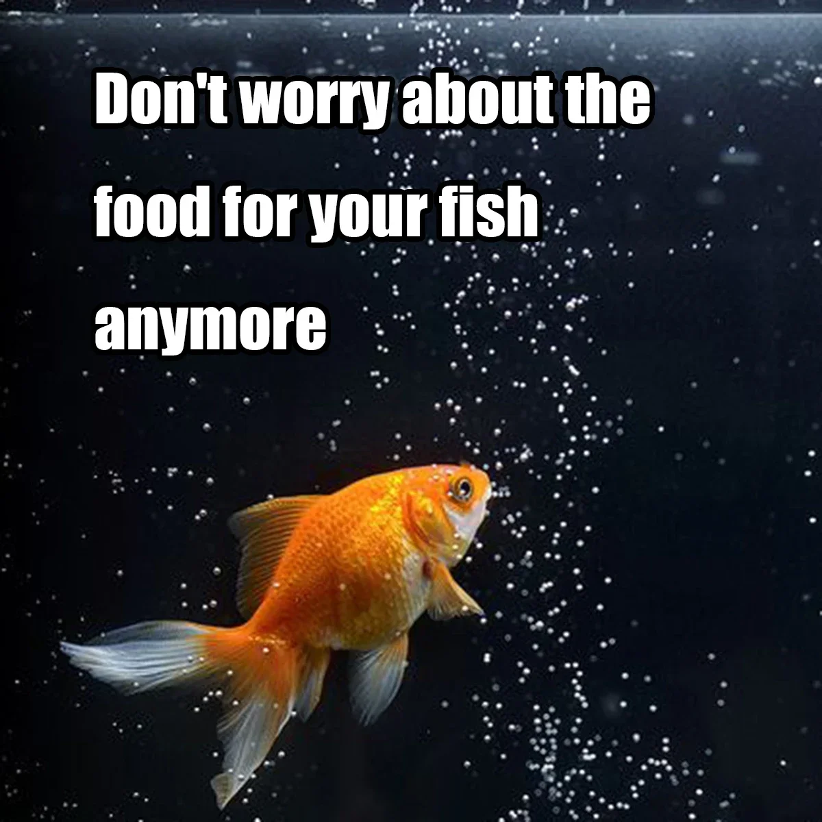 Automatic Fish Feeder for Aquarium,100ml Capacity Auto Fish Feeders Easy to Set Up with Battery - Image 10