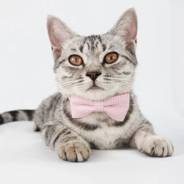 Cute Cat Collar with Bow Tie Adjustable Design Pet Dogs Cats Puppy Necklace Pet Collars  collar para gato - Image 3