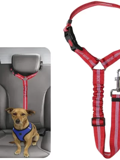 Reflective Pet Dog Car Seat Belt Puppy Collar Walking Travel Car Accessories Cat Leash Harness for Small Dogs Pet Car Supplies