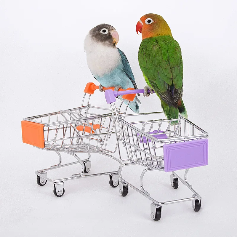 Bird Training Toy Supplies Basketball Stand Lovebird Shopping Cart Bird Toy Shoes Canary Skateboard Parrot Toy Accessories - Image 5