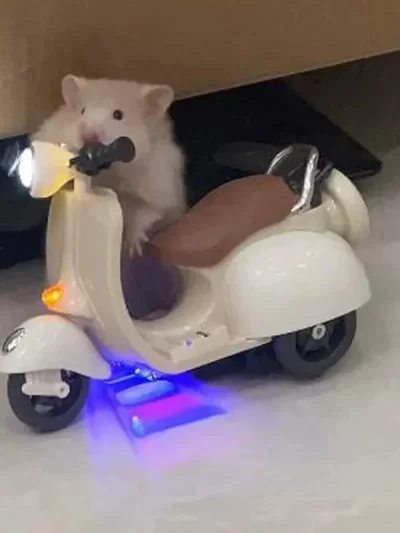 Hamster Toys 360-degree Rotation Motorcycle Lighting Electric Pet Rat Toy Hamster Accessories Motorcycle Electric Toys Rabbit