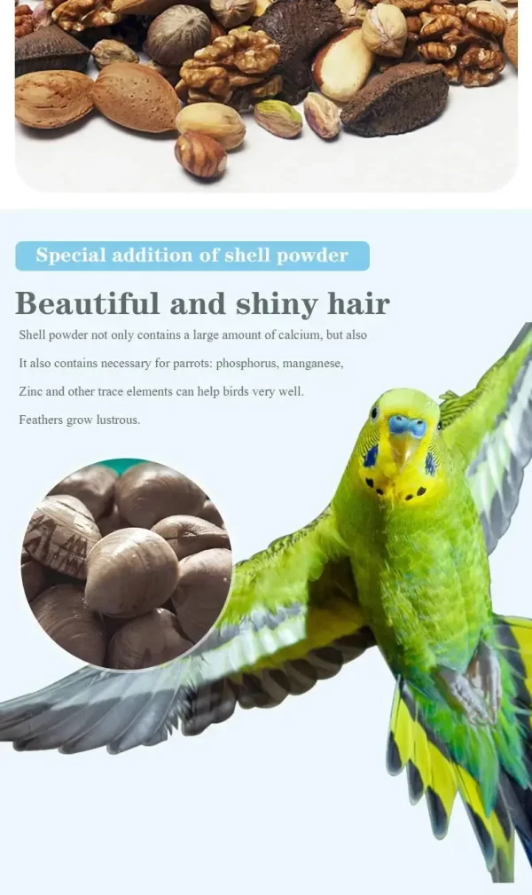 Bird food parrot feed oil sunflower bird feed parrot food bird food bird food feed - Image 10