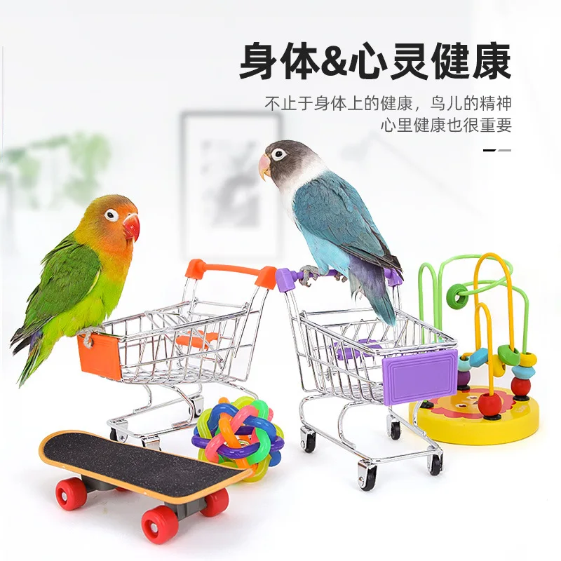 Bird Training Toy Supplies Basketball Stand Lovebird Shopping Cart Bird Toy Shoes Canary Skateboard Parrot Toy Accessories - Image 4