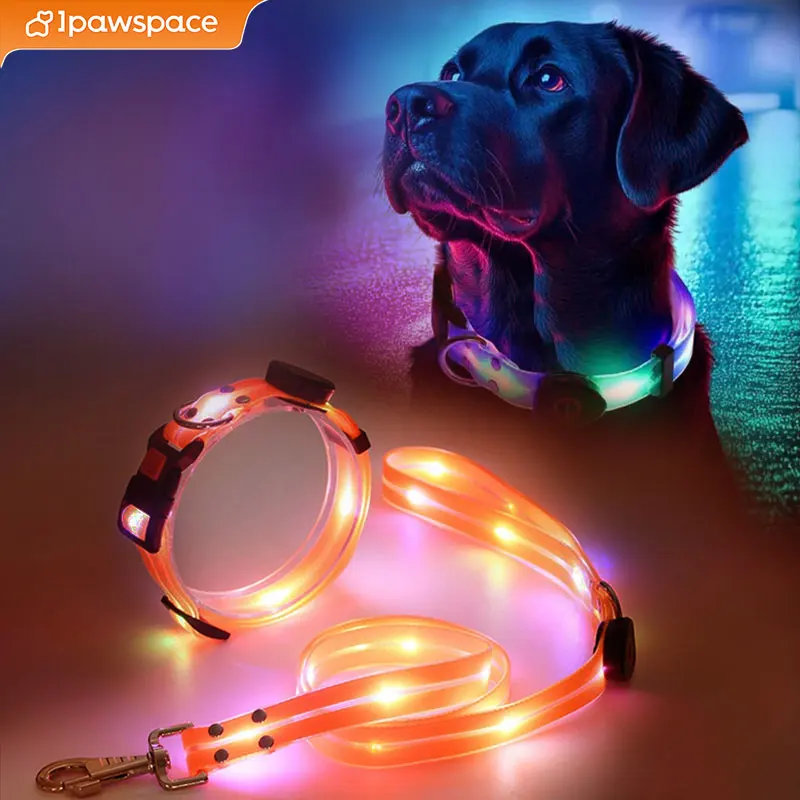 LED Light Up Dog Collar and Leash Walking Safety Glow in The Dark, Three Lighting Modes, USB Rechargeable Dog Colorful LED Leash - Image 8