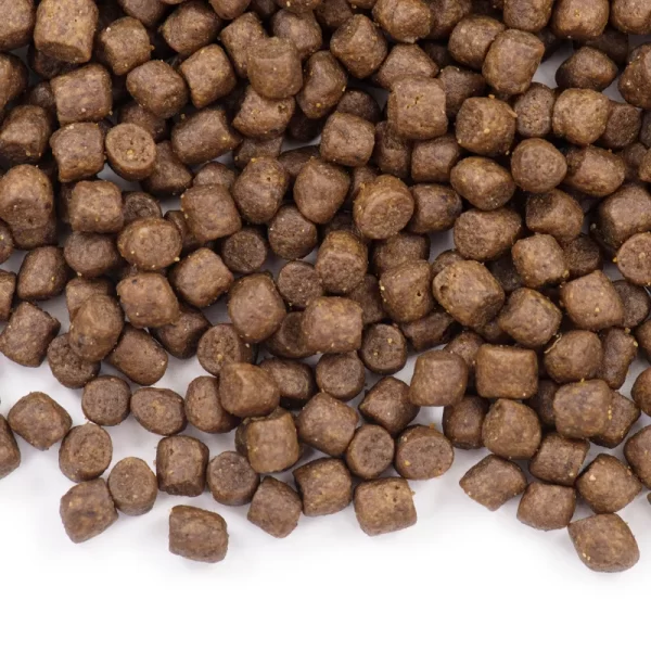 Large bag of large breed dog food, Labrador specific, full-price adult and puppy universal - Image 2