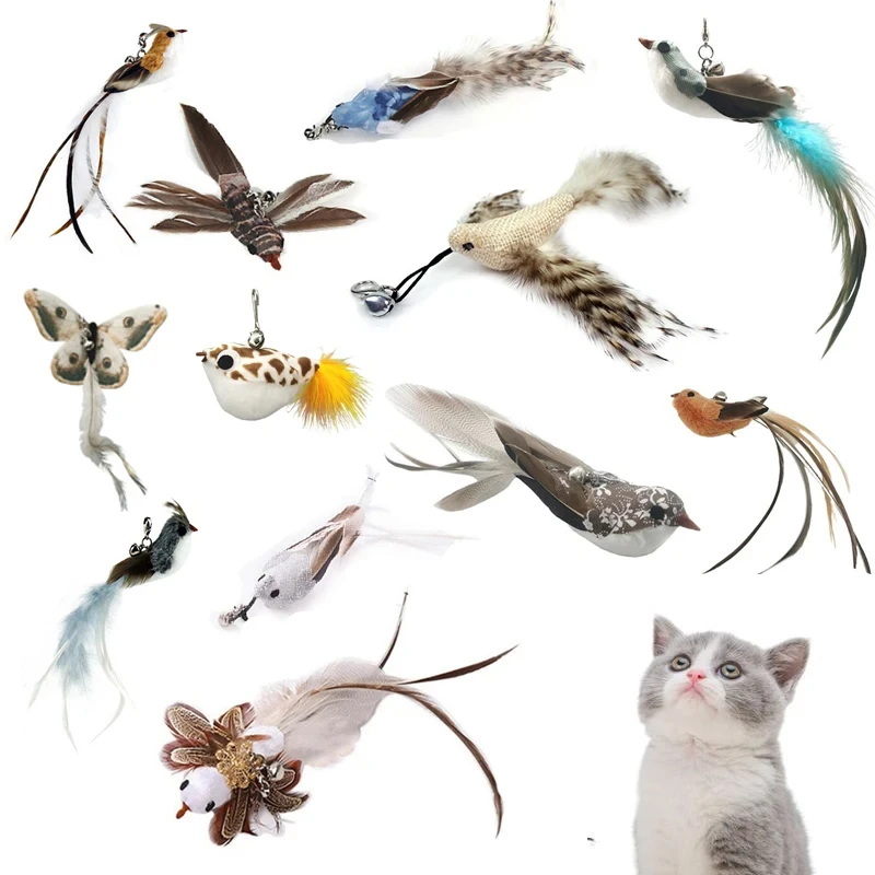 Funny Bird Feather Cat Wand With Bell Accessories Interactive Toys For Cats Kitten Hunting Teaser Exercise Pet Products - Image 11