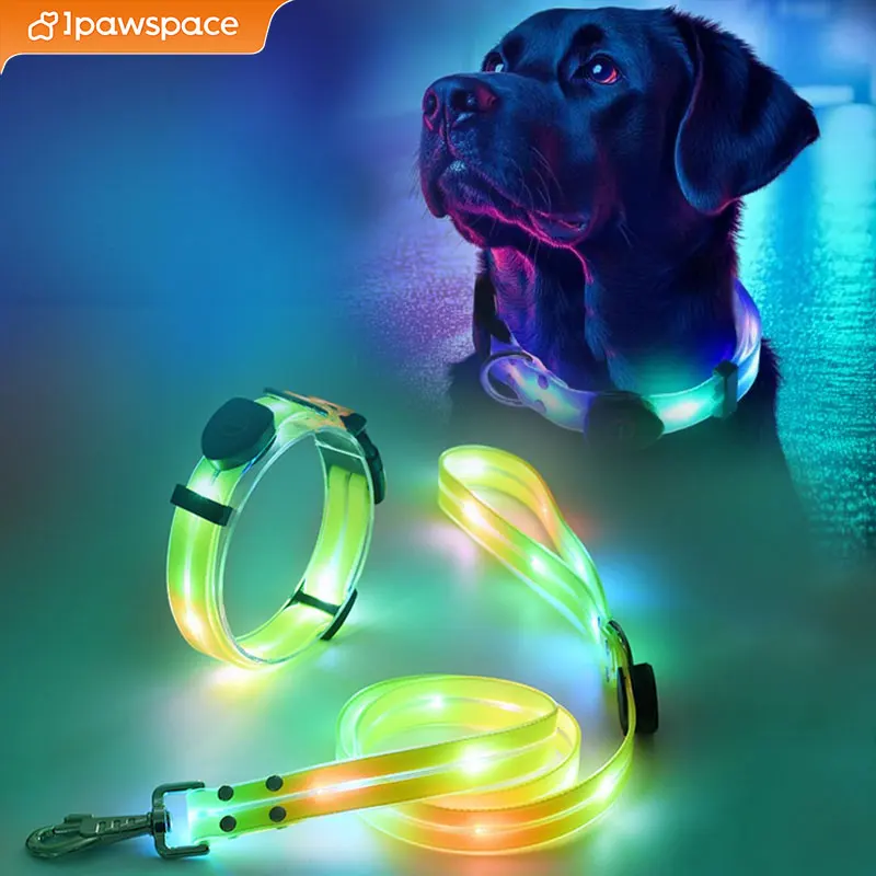 LED Light Up Dog Collar and Leash Walking Safety Glow in The Dark, Three Lighting Modes, USB Rechargeable Dog Colorful LED Leash - Image 9