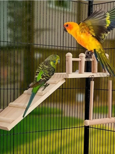 Bird Perches Platform Swing Climbing Ladder Parrot Cage Accessories Wooden Playing Gyms Exercise Stands Parrot Cage Toys Sets