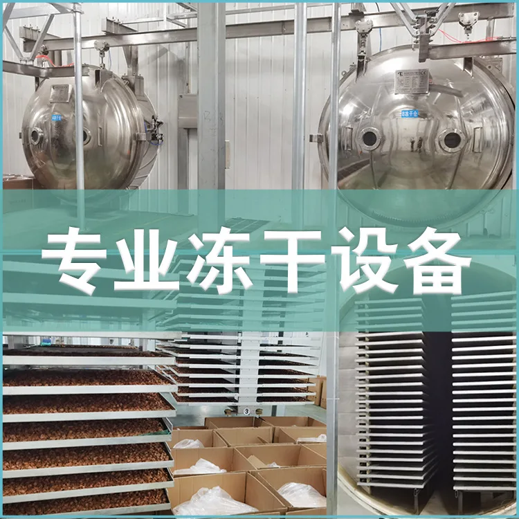 Pet Freeze-dried Beef Liver Granules Dog and Cat Snacks Supplementary Food Beef Liver Freeze-dried Block - Image 4