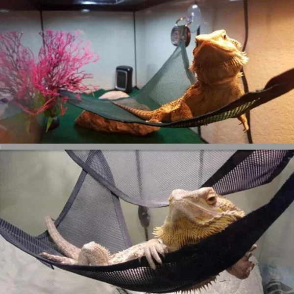 Reptile Hammock Lounger Ladder Accessories Set for Large Small Bearded Dragons Anole Geckos Lizards or Snakes Reptile Accessorie - Image 8