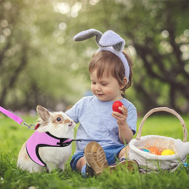 Small Animal Hamster Harness and Leash Set Mesh Rabbit Leash Lead Vest Harness Leash for Guinea Pigs Chinchilla Rabbit Hamster - Image 6